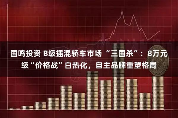 国鸣投资 B级插混轿车市场 “三国杀”：8万元级“价格战”白热化，自主品牌重塑格局