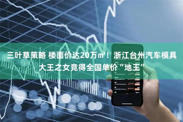 三叶草策略 楼面价达20万㎡！浙江台州汽车模具大王之女竞得全国单价“地王”