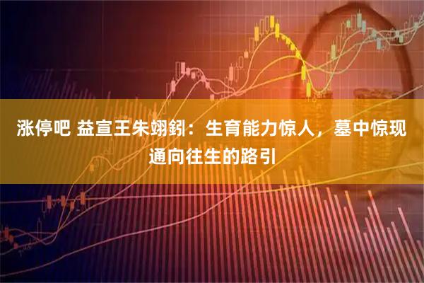涨停吧 益宣王朱翊鈏：生育能力惊人，墓中惊现通向往生的路引
